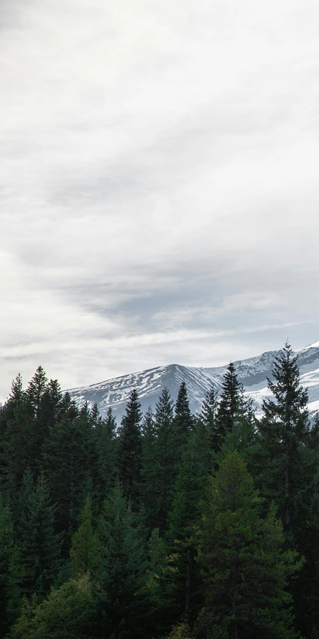 Custom Ecommerce Stores